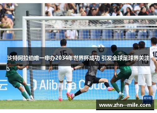 沙特阿拉伯唯一申办2034年世界杯成功 引发全球足球界关注